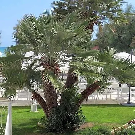 Majestic 3* Senigallia